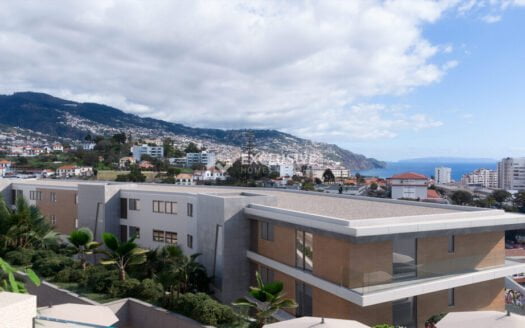 T2 and T3 Apartments in Funchal "The Place"
